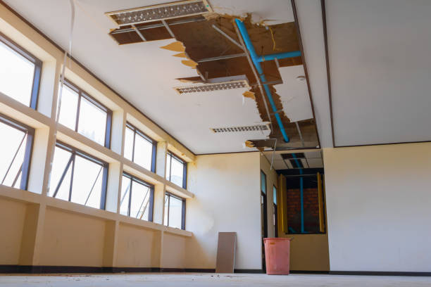 Best Commercial water damage restoration  in Big Bear Lake, CA