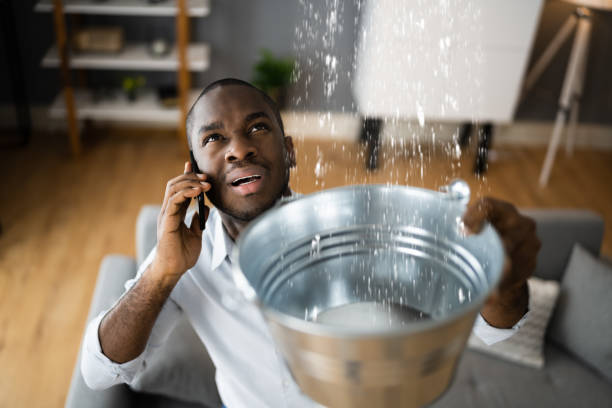 Best Water damage restoration near me  in Big Bear Lake, CA