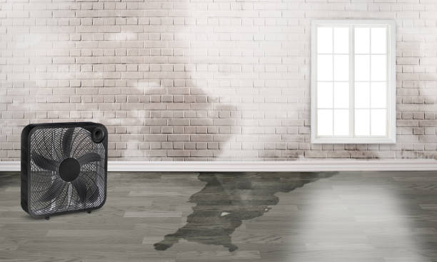 Best Flood restoration services  in Big Bear Lake, CA