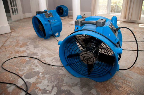 Best Commercial water damage restoration  in Big Bear Lake, CA