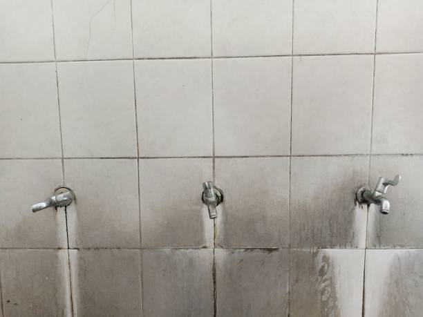 Best Water damage restoration insurance claims  in Big Bear Lake, CA
