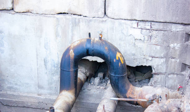 Best Carpet water damage restoration  in Big Bear Lake, CA